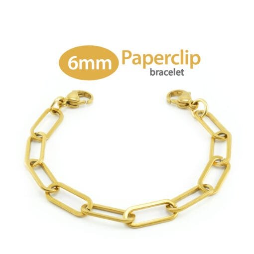 6mm Paperclip Link in Stainless Steel Yellow Gold Finish - Replacement / Add-on Bracelet (bracelet only - tag not included) - BRAC-PCG6